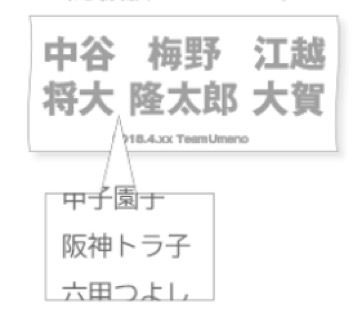 掲載例